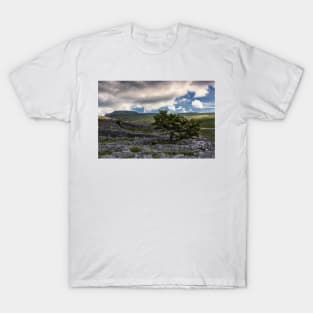 Ingleborough Top T-Shirt